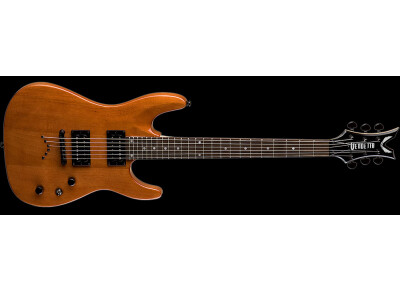 Dean Guitars Vendetta 1.0