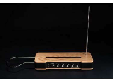 Moog Music Etherwave Theremin