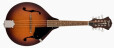 Fender ajoute trois instruments à la série Paramount.