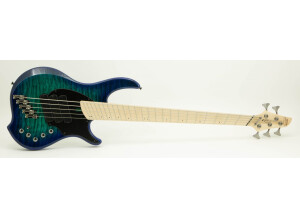 Dingwall CB3 Combustion 5-String