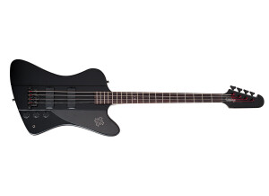 Epiphone Goth Thunderbird-IV