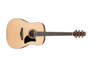 Ibanez AAD50