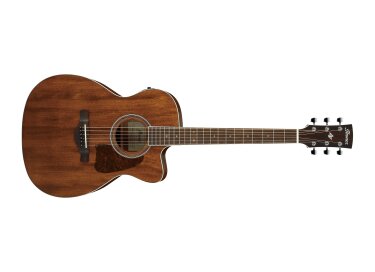 Ibanez AC340CE