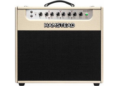 Hamstead Artist 60+RT Combo