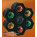 See the photo of the Boost Rampe de 6 spots Boost Rampe de 6 spots