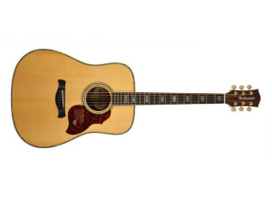 Richwood Guitars D-70-VA