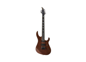 Caparison Horus-WB-FX