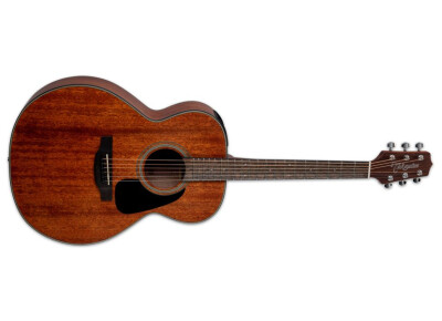 Takamine GLN11E