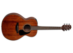 Takamine GLD11E