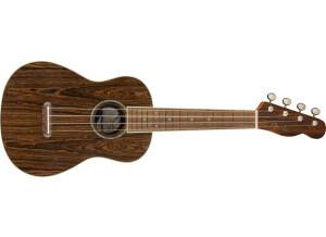 Fender Zuma Exotic Concert Ukulele