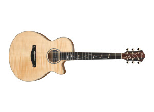 Ibanez AEG750