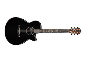 Ibanez AEG550