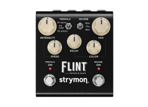 Strymon Flint V2