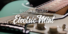Vends Session Guitarist ELECTRIC MINT (Native Instruments)