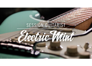 Native Instruments Session Guitarist Electric Mint