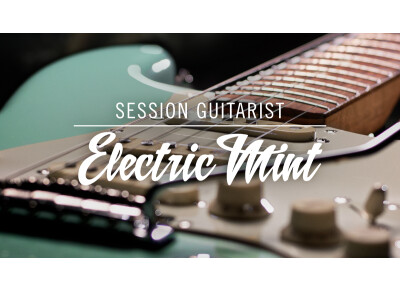Native Instruments Session Guitarist Electric Mint