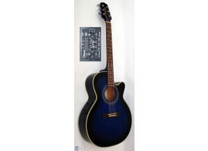 Takamine EG540CBS