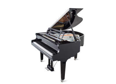 Feurich 162 Dynamic 1