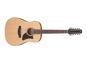 Ibanez AAD1012E