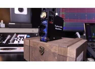 Tegeler Audio Manufaktur Vocal leveler 500