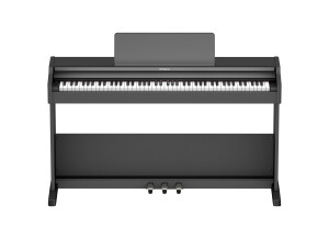 Roland RP107