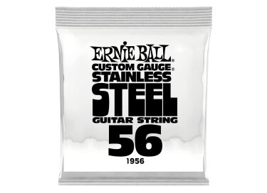 Ernie Ball Stainless Steel Wound Electric Single String