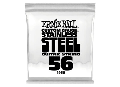 Ernie Ball Stainless Steel Wound Electric Single String