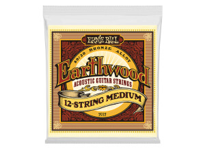 Ernie Ball EarthWood 80/20 Bronze Acoustic 12-String