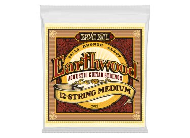 Ernie Ball EarthWood 80/20 Bronze Acoustic 12-String