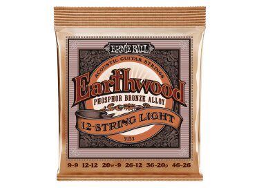 Ernie Ball Earthwood Phosphor Bronze Acoustic 12-String