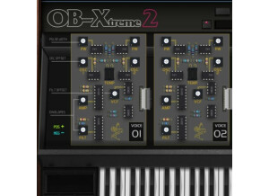 ALY JAMES LAB OB-Xtreme 2