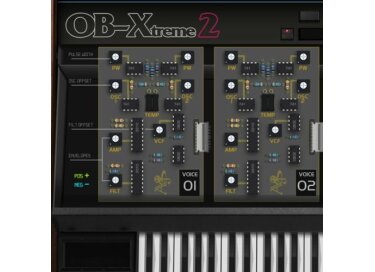 ALY JAMES LAB OB-Xtreme 2