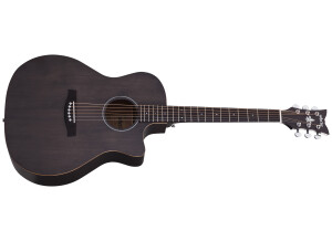 Schecter Deluxe Acoustic