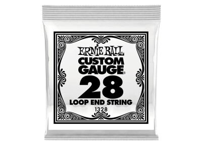 Ernie Ball Loop End Stainless Steel Single String (Banjo or Mandolin)