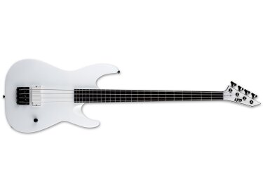 LTD M-4 Arctic Metal