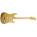 Fender 50th Anniversary Golden Stratocaster (2004)