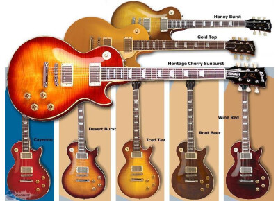 Gibson Les Paul Standard 60