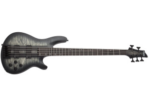 Schecter C-5 GT