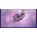 Voir la photo du Native Instruments Ignition Keys Native Instruments Ignition Keys