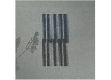 Wrongtools Dulcitone Pro