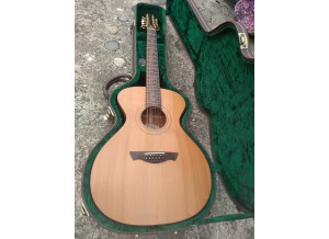 Vintage VE2000GG-12 Gordon Giltrap Signature 12 cordes