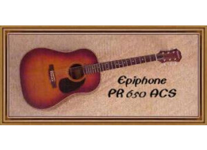 Epiphone PR-650