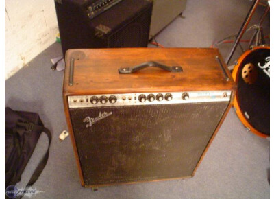 Fender Bassman Ten
