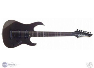 Washburn WG587