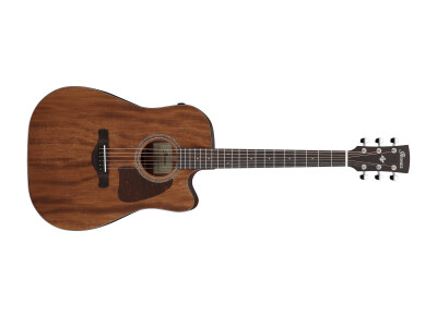 Ibanez AW1040CE