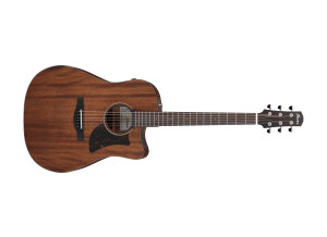 Ibanez AAD190CE