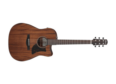 Ibanez AAD190CE