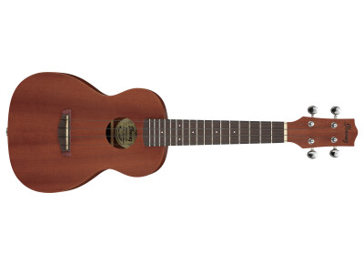 Ibanez UKC100