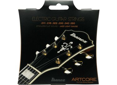 Ibanez IFAS6SL Stainless Flat Wound Electric Guitar