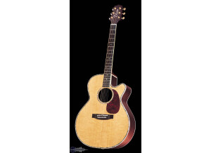 Takamine TNV460SC